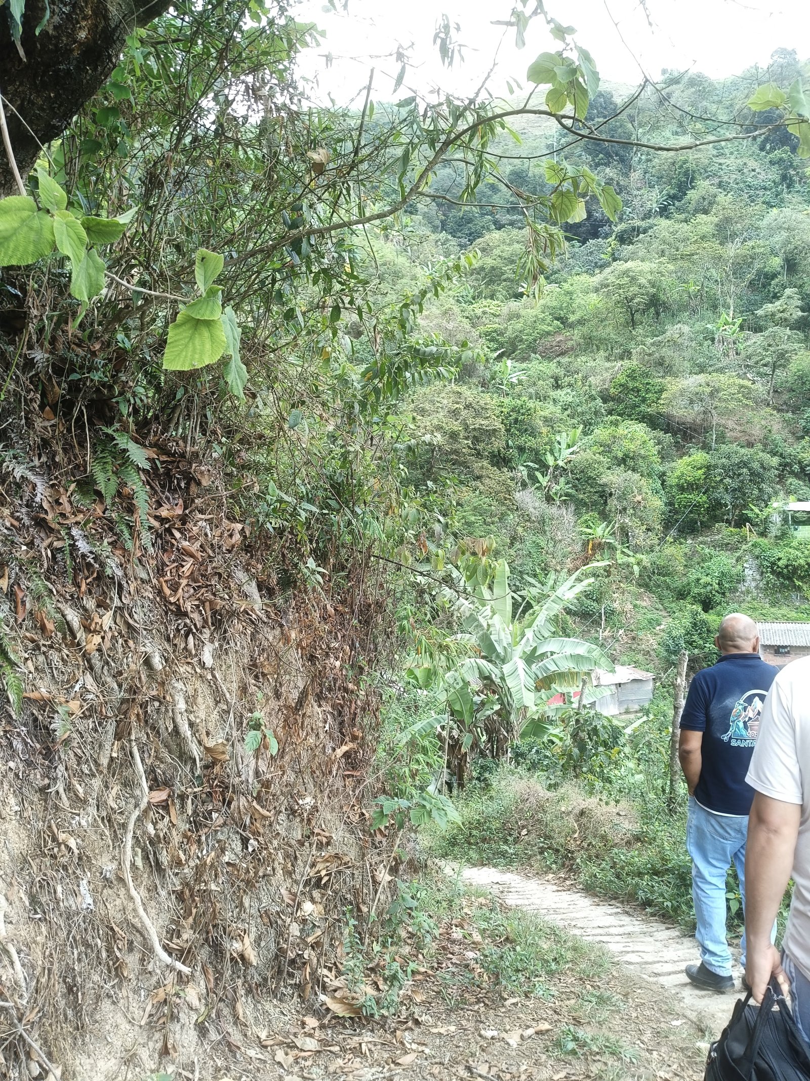 BENDICIENDO MOLINO Y MINA SANTA ELENA