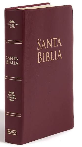 Biblia Letra Grande
